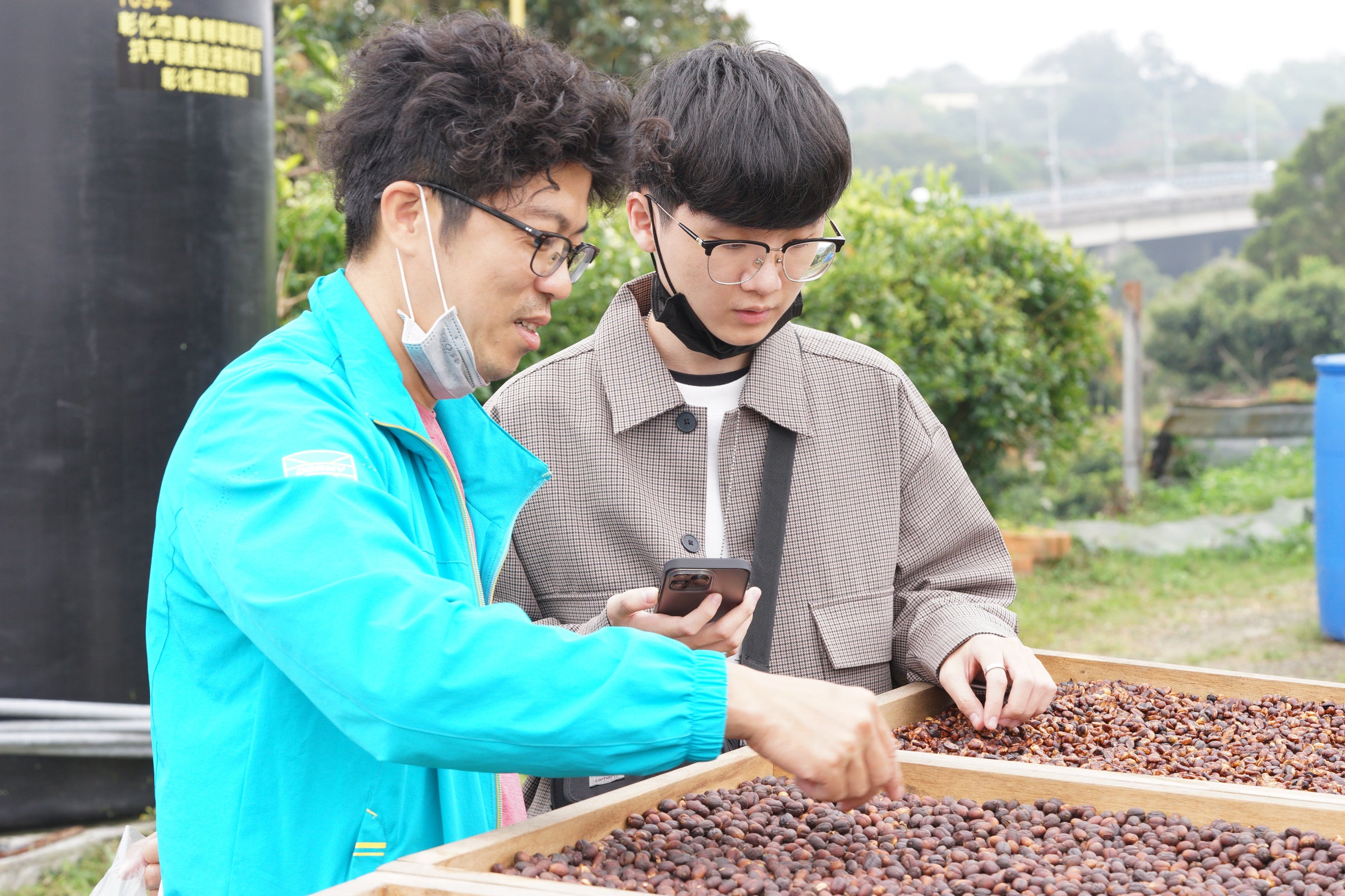 長日(ﾁｬﾝﾘｰ)ティピカ ハニープロセス（生豆・1kg）／税込・国内送料別
