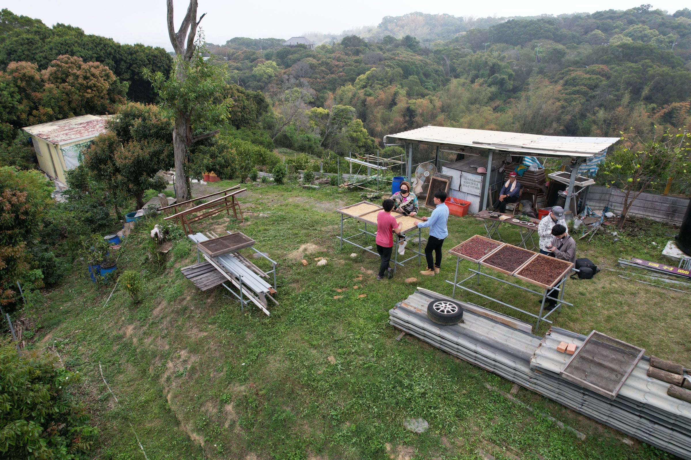 長日(ﾁｬﾝﾘｰ)ティピカ ハニープロセス（生豆・1kg）／税込・国内送料別