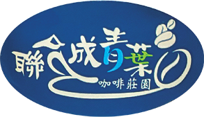 25/26 青葉(ﾁﾝｲｪ) SL34 ウォッシュド （生豆・1kg）／税込・国内送料
